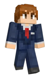 sushsg Minecraft avatar full body