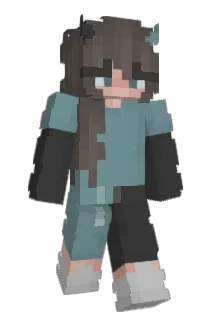 sussington Minecraft avatar full body