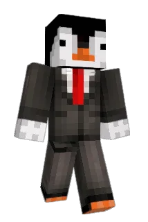 svigermor2 Minecraft avatar full body