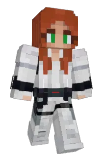 svturnc Minecraft avatar full body