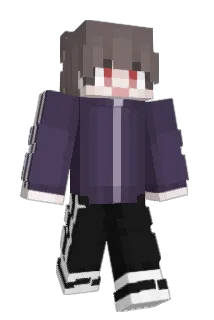 sw1006 Minecraft avatar full body