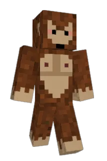 sw407 Minecraft avatar full body