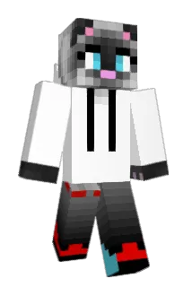 swageren Minecraft avatar full body