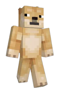 swagy_eli Minecraft avatar full body