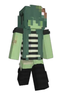 swalcys Minecraft avatar full body