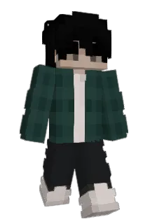 swalib Minecraft avatar full body