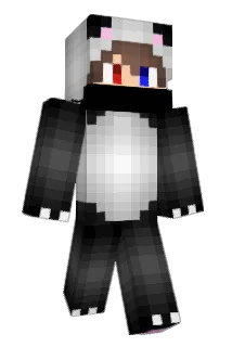 swampy2005 Minecraft avatar full body