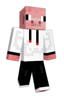 swarcar Minecraft avatar full body