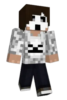 swecg2 Minecraft avatar full body
