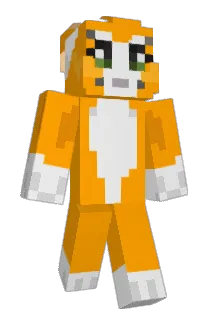 sweepycat Minecraft avatar full body