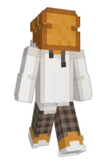 swell9932 Minecraft avatar full body