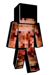 swell_brain Minecraft avatar full body