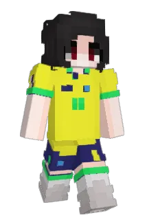 swfia_ Minecraft avatar full body