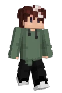swhx Minecraft avatar full body