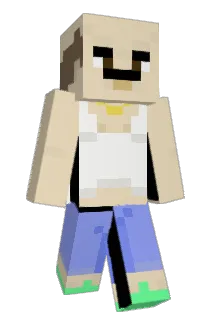 swipa916 Minecraft avatar full body