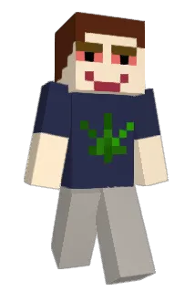 swishosh Minecraft avatar full body