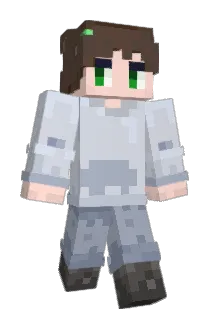 swj244 Minecraft avatar full body