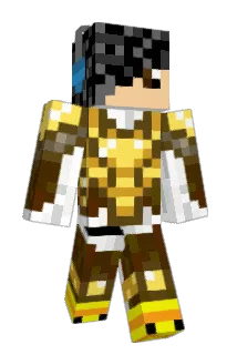 swordbattler Minecraft avatar full body