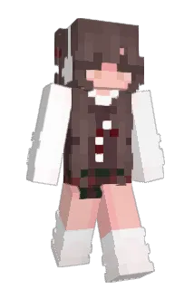 sxftblze Minecraft avatar full body