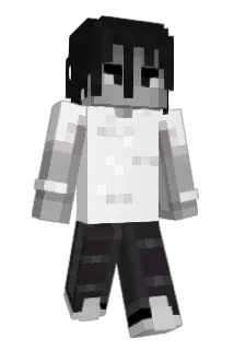 synfh Minecraft avatar full body