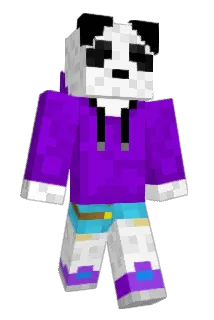 synsyn12 Minecraft avatar full body