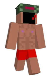 szkhn Minecraft avatar full body