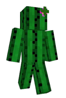 szwed500 Minecraft avatar full body