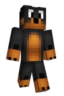 szymek123PL Minecraft avatar full body