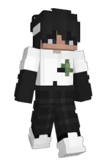 t0m3k11 Minecraft avatar full body