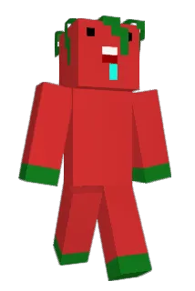t0m4t0_25 Minecraft avatar full body