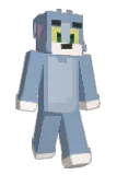 t0masius Minecraft avatar full body