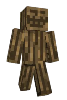 t0n05 Minecraft avatar full body
