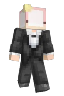 t1230 Minecraft avatar full body