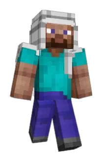 t1he Minecraft avatar full body