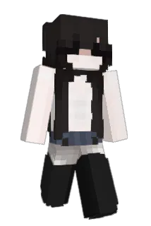 t313sa Minecraft avatar full body