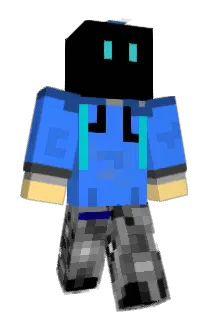 t_ense Minecraft avatar full body