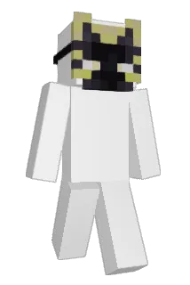 t_erzi Minecraft avatar full body