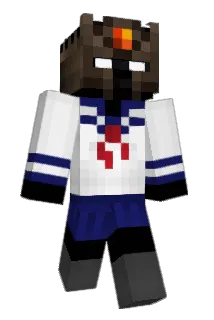 t_xas Minecraft avatar full body
