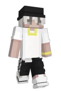 taartz Minecraft avatar full body