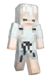 tacchi_910 Minecraft avatar full body