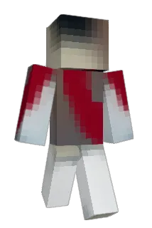 tach221 Minecraft avatar full body