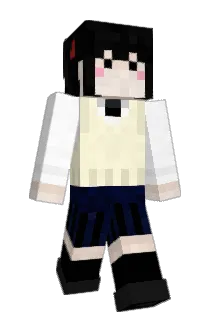 tachico149 Minecraft avatar full body