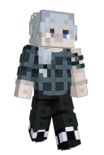 tacocatjax Minecraft avatar full body