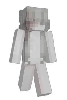 tacz Minecraft avatar full body