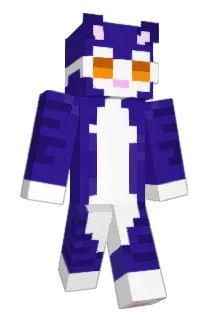 taewooXD Minecraft avatar full body