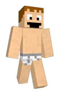 tailgoose Minecraft avatar full body