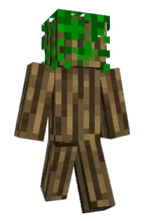 taipey Minecraft avatar full body