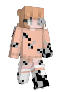 taivass Minecraft avatar full body
