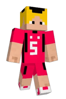 takato21 Minecraft avatar full body