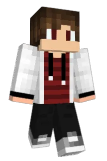 tako543 Minecraft avatar full body
